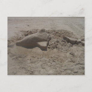 Stort Dolphin Sandcastle-vykort Vykort