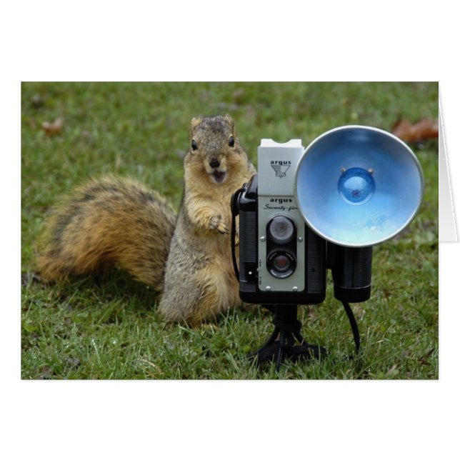 stort ekorrekort hälsningskort (Framsidan Horizontal)