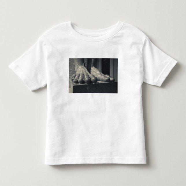 Stort Hermitage-byggnad, skulpturfot Tröja (Framsida)