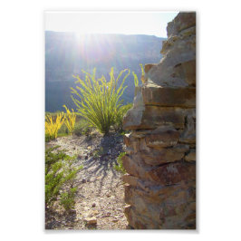Stort hus, Big Bend National Park, Texas Fototryck