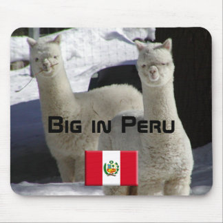 Stort i Peru Musmatta