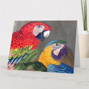 Stort kort för Macaw Parrot Birds Grattis på födel