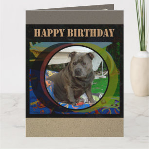 Stort kort   Stafford Bull Terrier Birthday
