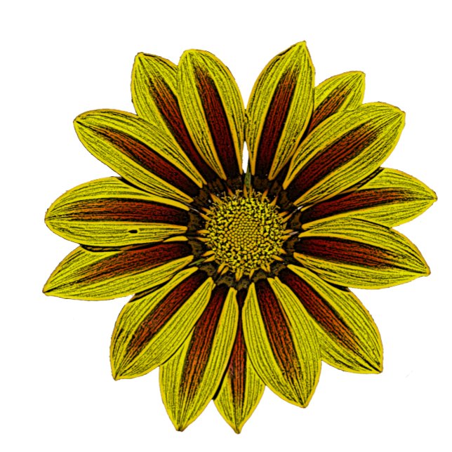 stort och djärvt gula blommor med röd rand-daisy filt (Skapare uppladdad)