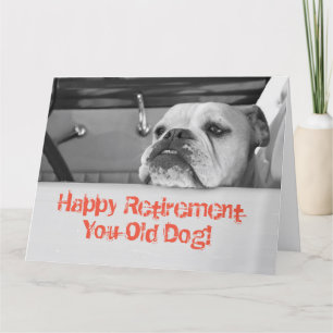 Stort Pension-hälsningskort Australian Bulldog Kort