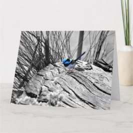 Stort superb felikt gärdsmyghälsningkort kort