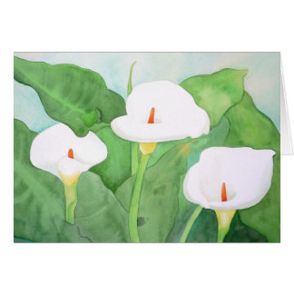 Stort Sur CalaLillies kort