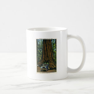 Stort träd Wawona, Mariposa dunge, CA Kaffemugg