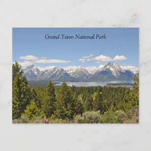 Stortet Grand Teton Scenia View vykort