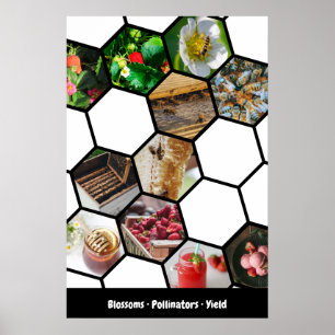 Story Collage Strawbär, Pollinators & Yield Poster