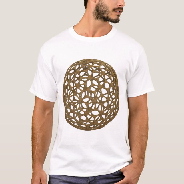 Story of "Star Cage" T Shirt (Framsida)