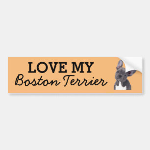Stötdämpare för Boston Terrier Bildekal