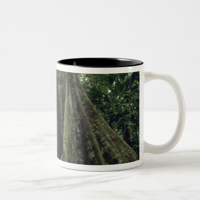 Stöttad träd i regnskog, Corcovado Två-Tonad Mugg (Höger)
