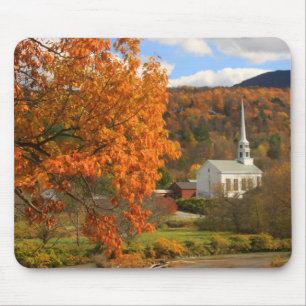 Stowe Vermont i höst Musmatta