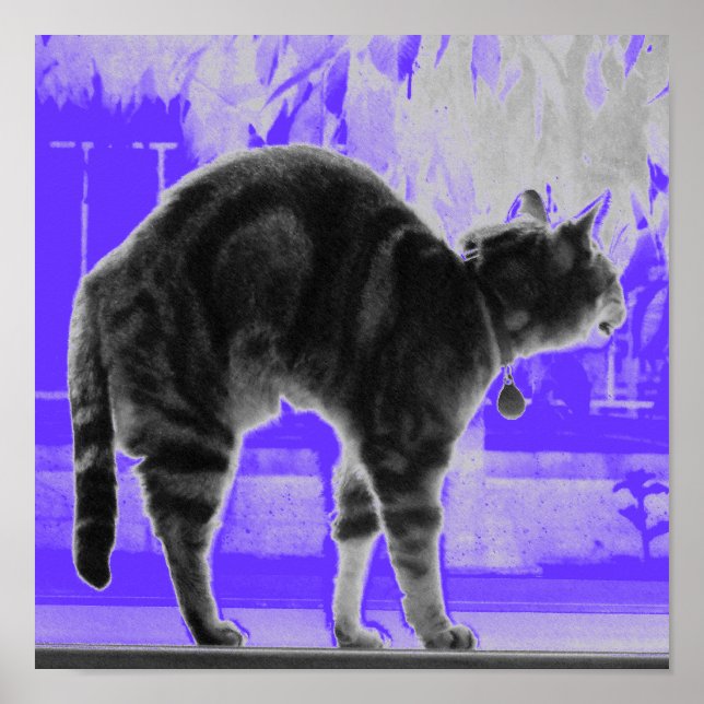Sträck in indigo B+W Poster (Framsidan)