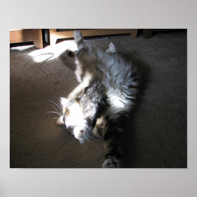 Sträck.... Poster (Framsidan)