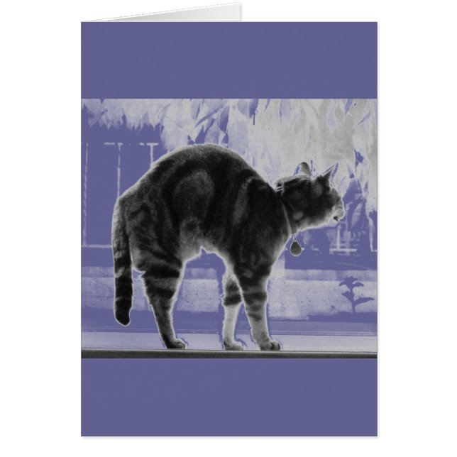 Sträck upp indigo-penna hälsningskort (Framsidan)