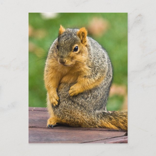 Sträck ut vykort (Framsida)