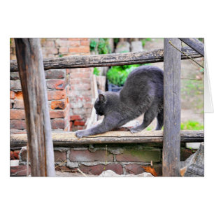 Sträckande katt hälsningskort