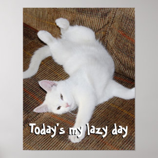 Sträckande katt - Poster