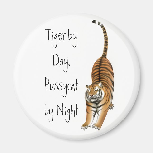 Sträckande magnet för bengaltiger (Framsidan)