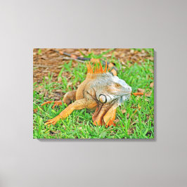 Sträckat Kanvastryck