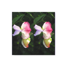 Sträckat Kanvastryck