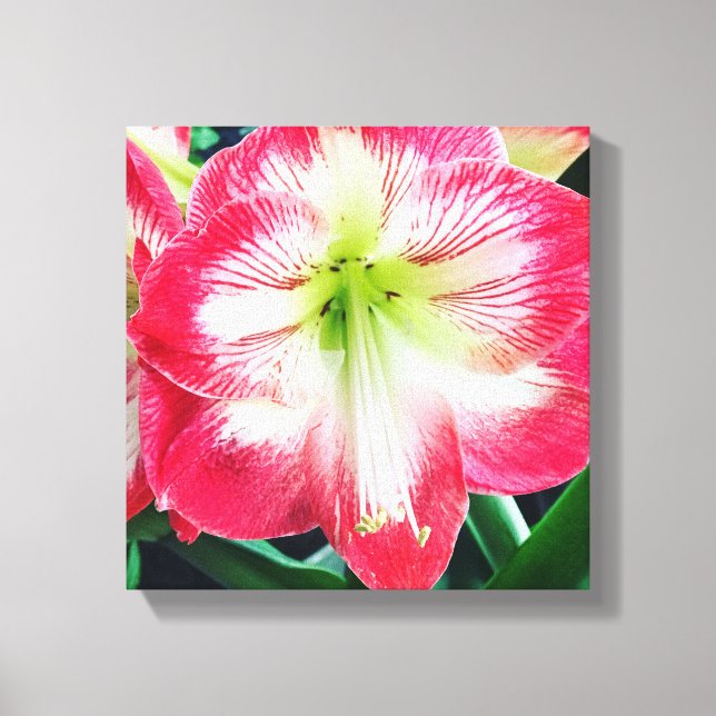 Sträckat Kanvastryck (Framsida)