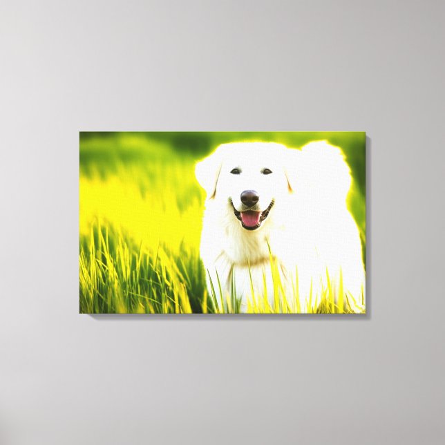 Sträckat Kanvastryck. Glatt vit Hund i F Canvastryck (Framsida)