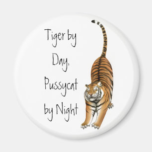 Sträckning av den Bengal tigermagneten Magnet