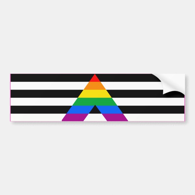 STRAIGHT ALLY FLAG BAR -.png Bildekal (Framsidan)
