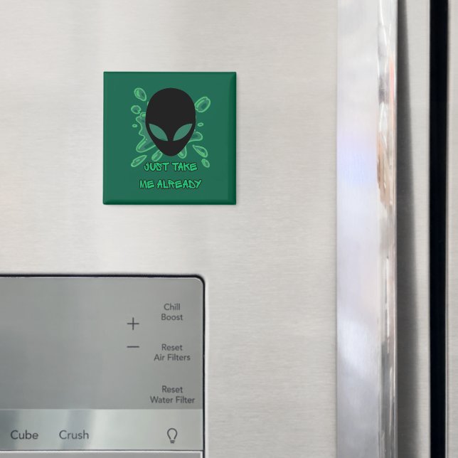 Stråla upp mig redan magnet (In Situ (Fridge))