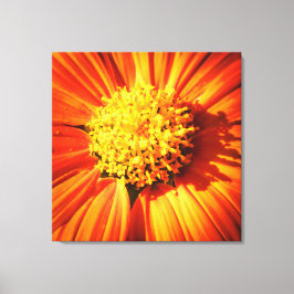 Strålande Orange Blomma Makro Väggkonsttryck Foto Canvastryck