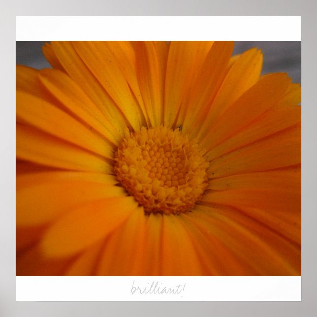 strålande! poster (Framsidan)