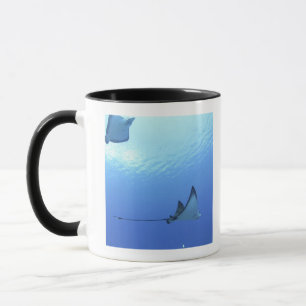 Strålar som simmar, Saipan, Northern Mariana Mugg