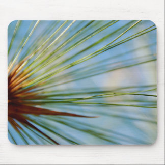 Stråle av gräs Mousepad Musmatta
