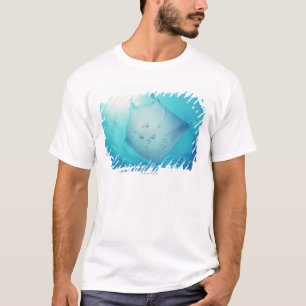 Stråle T Shirt