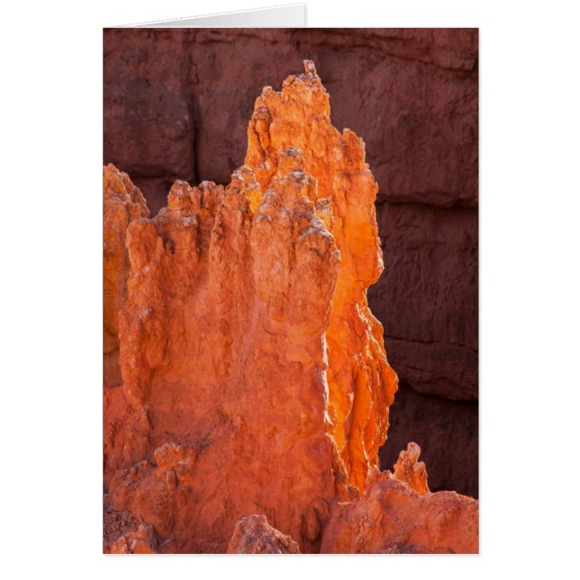 Strålglans Hälsningskort (Framsidan)