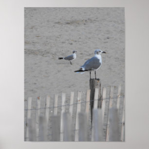 Strand~ 25,5 poster