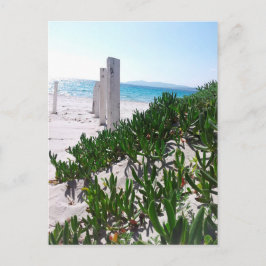 Strand bei Alghero Sardinien - Postkarte Vykort