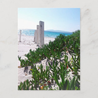 Strand bei Alghero Sardinien - Postkarte Vykort