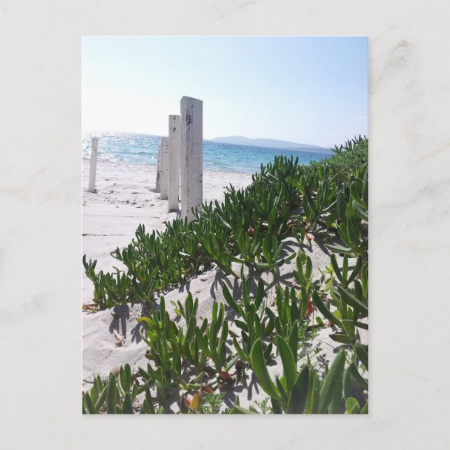 Strand bei Alghero Sardinien - Postkarte Vykort (Framsida)