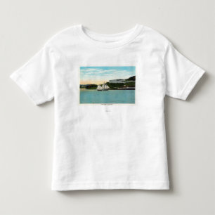 Strand beskådar av fort Knox T-shirt
