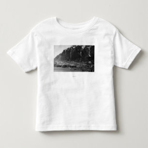 Strand beskådar av Juneau, Alaska fotograferar T Shirt