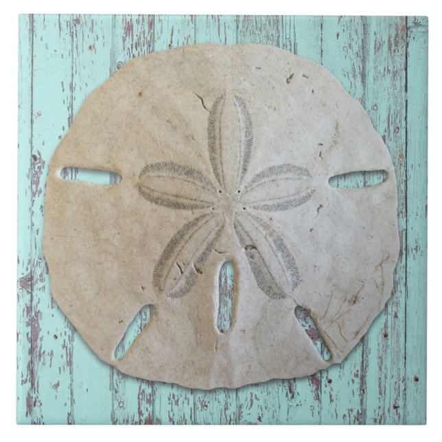 Strand Estetisk Sanddollar Dekoration Kakelplatta (Framsidan)