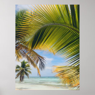 strand Handflatan poster