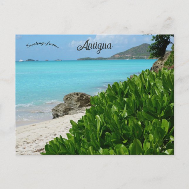 Strand i Antigua Vykort (Framsida)
