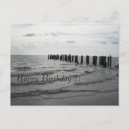 Strand i Florida Pelikane Geburtstagskarte Vykort