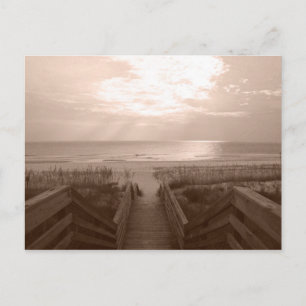 Strand i Florida Vykort