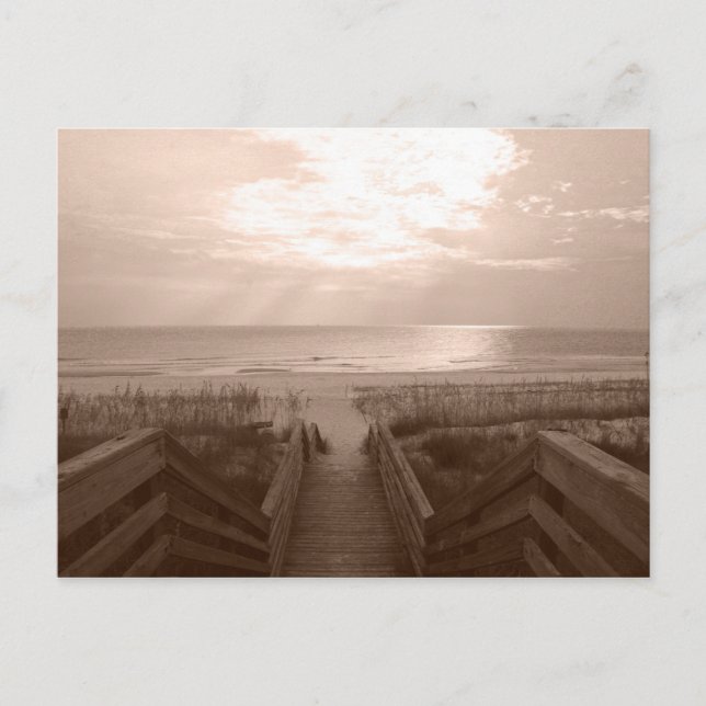 Strand i Florida Vykort (Framsida)